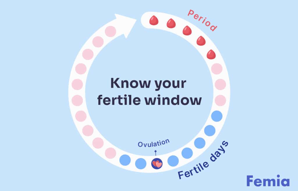 Infographic showing the menstrual cycle with period days and fertile days marked. The image emphasizes knowing your fertile window and helps to answer questioms like 'if you ovulate in the morning can you get pregnant that night'.
