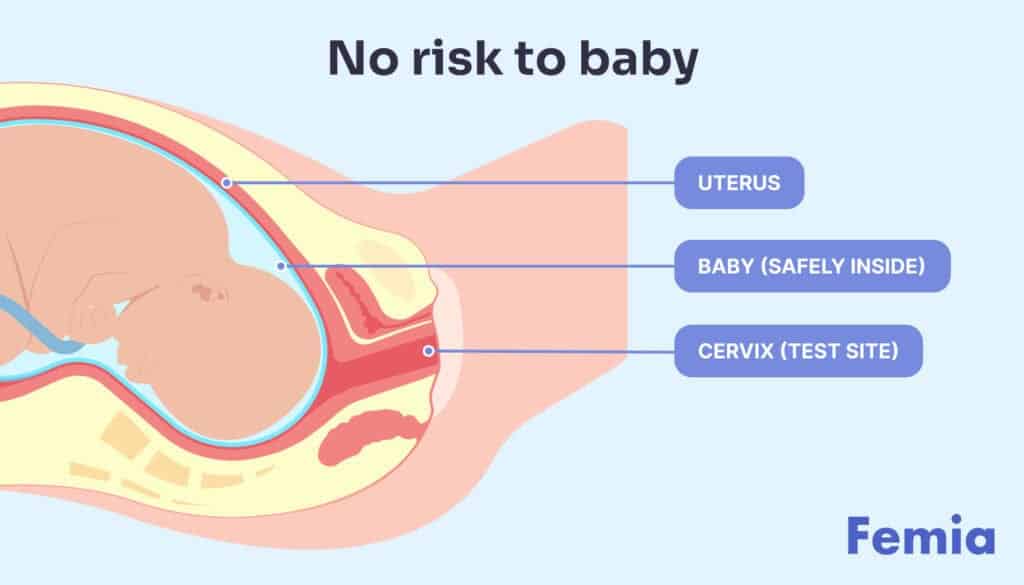 Diagram showing no risk to baby during a Pap smear. Uterus, baby, and cervix (test site) are labeled. Explains Pap smear safety during pregnancy.