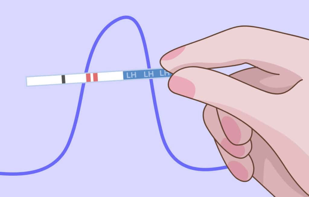 Hand holding an ovulation test strip with two lines indicating a positive result. Viewers of this file can see comments and suggestions.