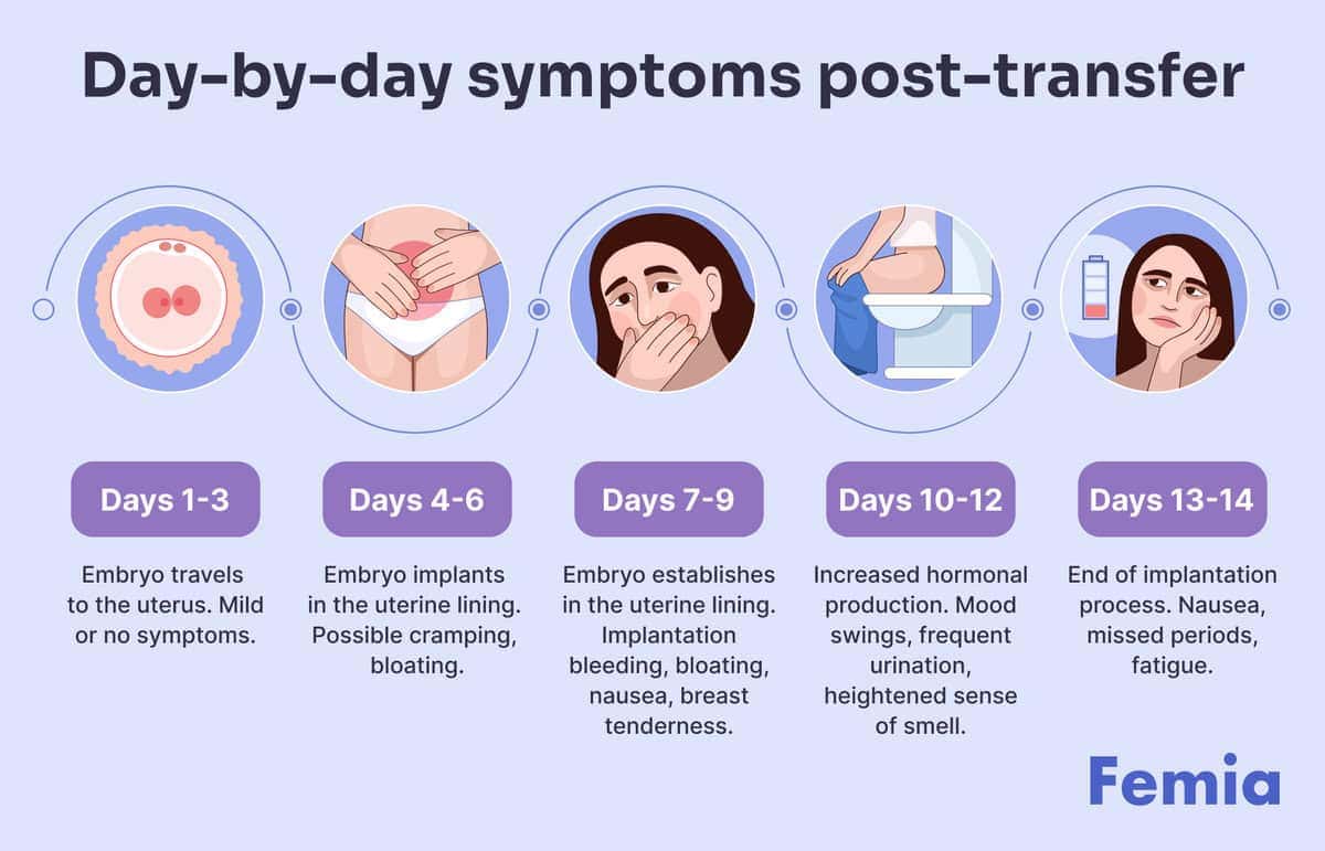 Positive signs after embryo transfer - Femia Health