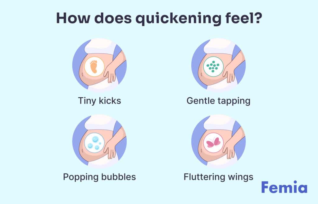 Infographic explaining how quickening feels during pregnancy: tiny kicks, fluttering wings, popping bubbles, gentle tapping.