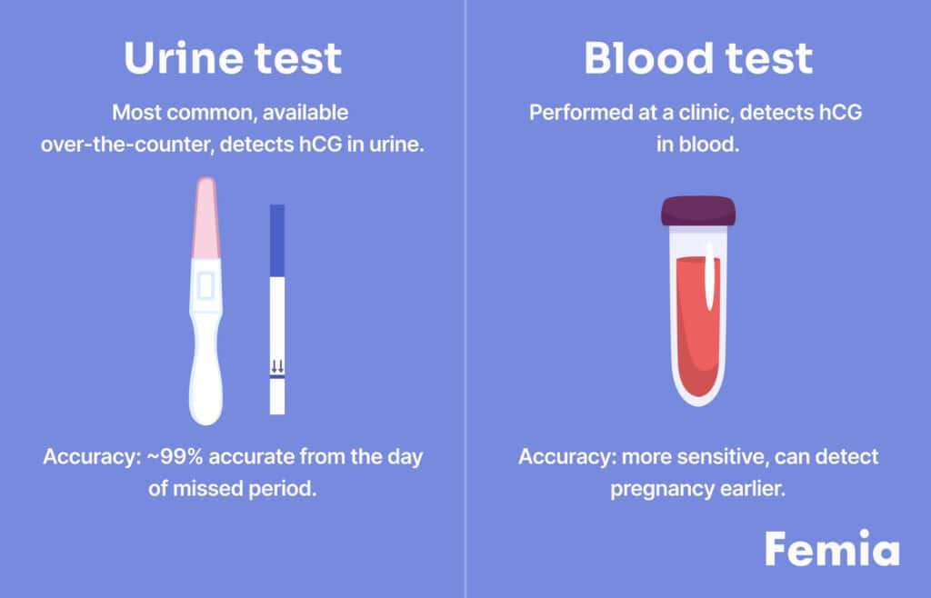 Side-by-side comparison of urine and blood pregnancy tests, including accuracy and detection methods.