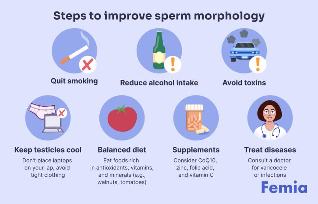 Steps to improve sperm morphology, including quitting smoking, reducing alcohol intake, avoiding toxins, keeping testicles cool, balanced diet, supplements, and treating diseases.