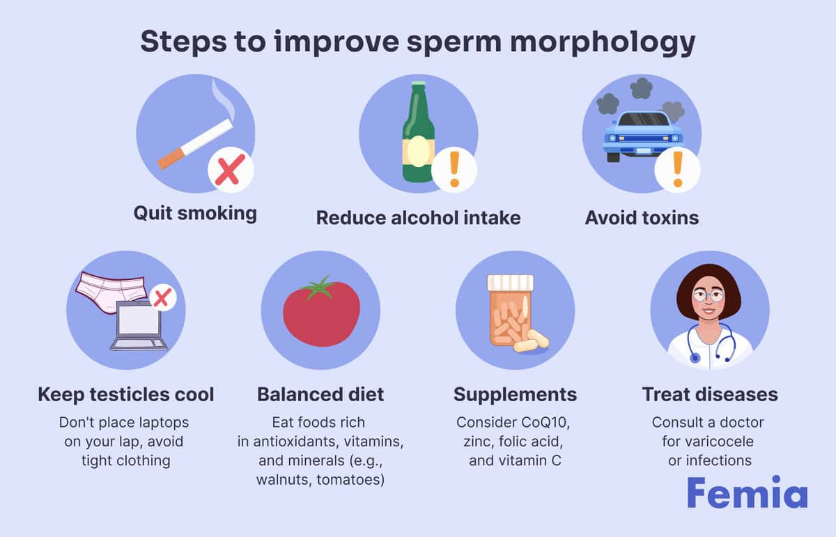 How to get pregnant with poor sperm morphology? - Femia Health