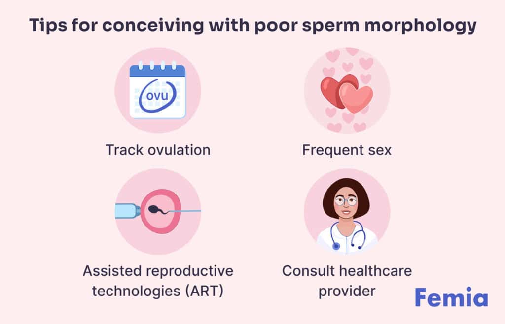 Tips for conceiving with poor sperm morphology, featuring icons for tracking ovulation, frequent sex, ART, and consulting a healthcare provider.