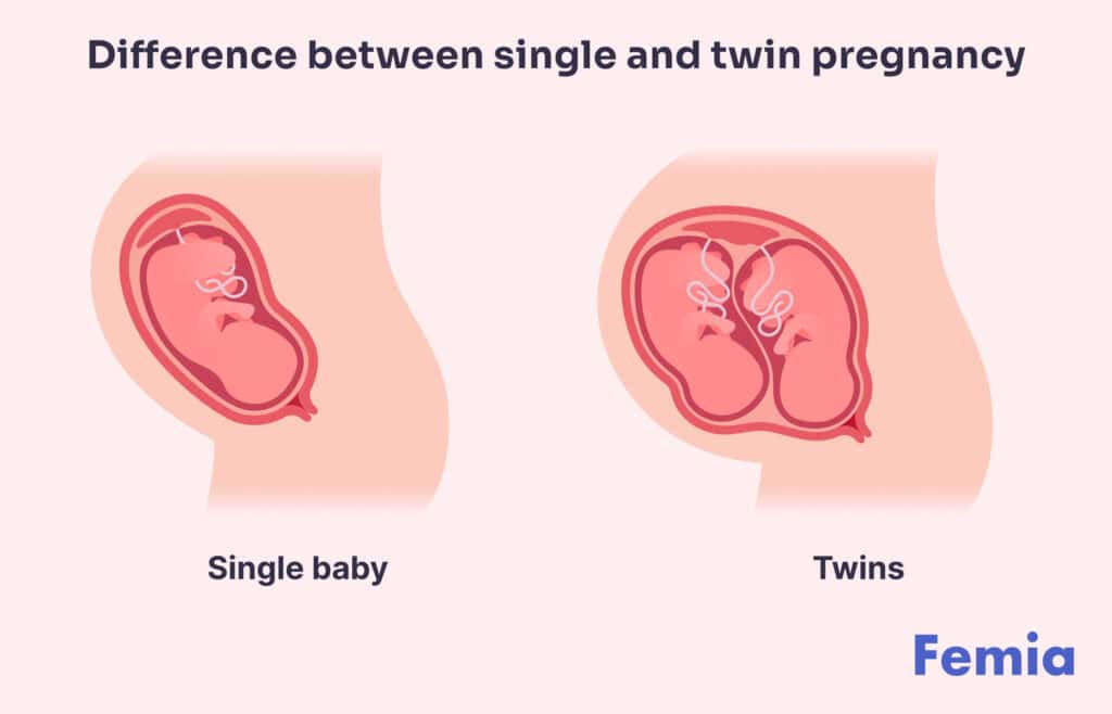 Illustration showing a single baby on the left and twins on the right inside the womb.