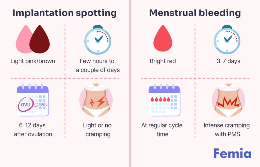 Infographic comparing implantation spotting and menstrual bleeding.