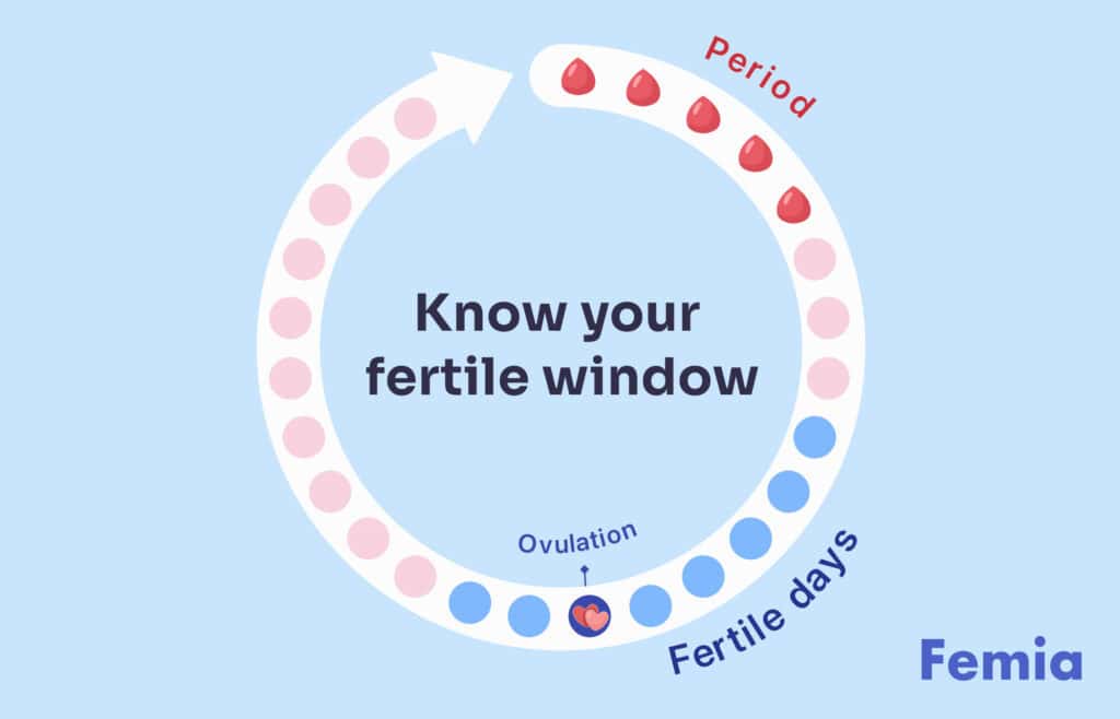 Diagram showing the menstrual cycle with a focus on ovulation and fertile days.