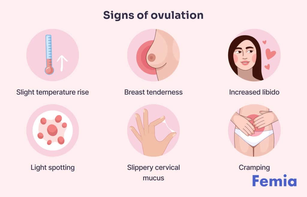 Illustration showing signs of ovulation including temperature rise, breast tenderness, increased libido, light spotting, slippery cervical mucus, and cramping. Viewers of this file can see comments and suggestions.