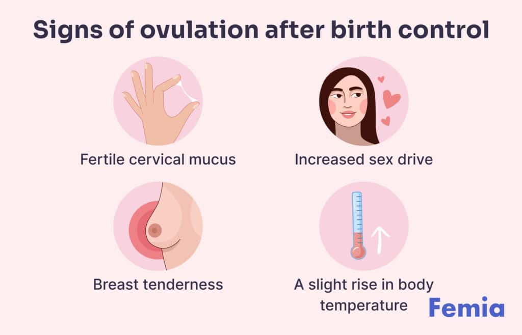 Infographic showing signs of ovulation: cervical mucus, sex drive, breast tenderness, and temperature rise.