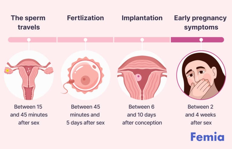 Is it normal to not feel pregnant? Understanding early pregnancy and