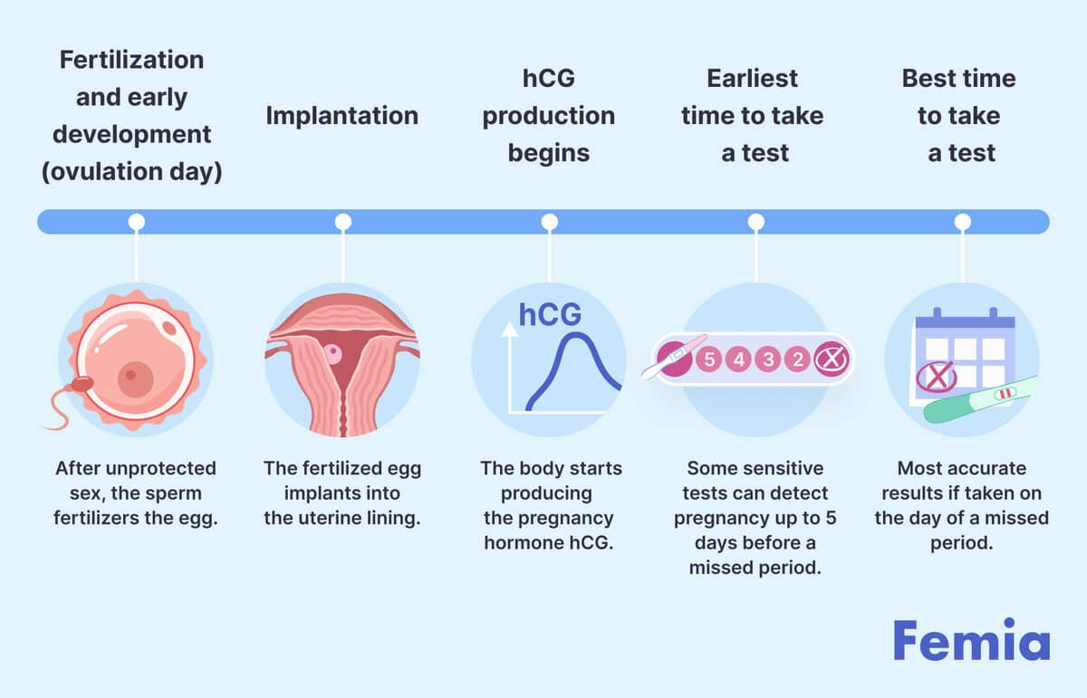 How long after sex does implantation occur: Understanding the timeline