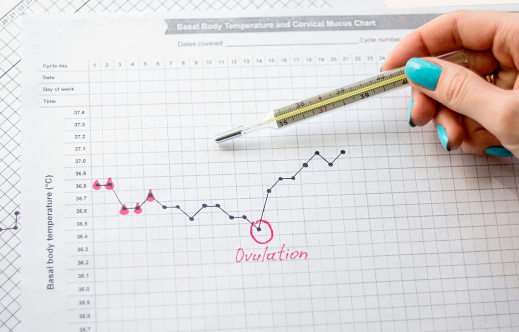 Hand holding a thermometer over a chart indicating ovulation based on basal body temperature.