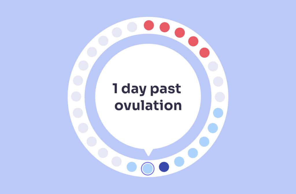 An image of a menstrual cycle wheel showing 1 day post ovulation (DPO).