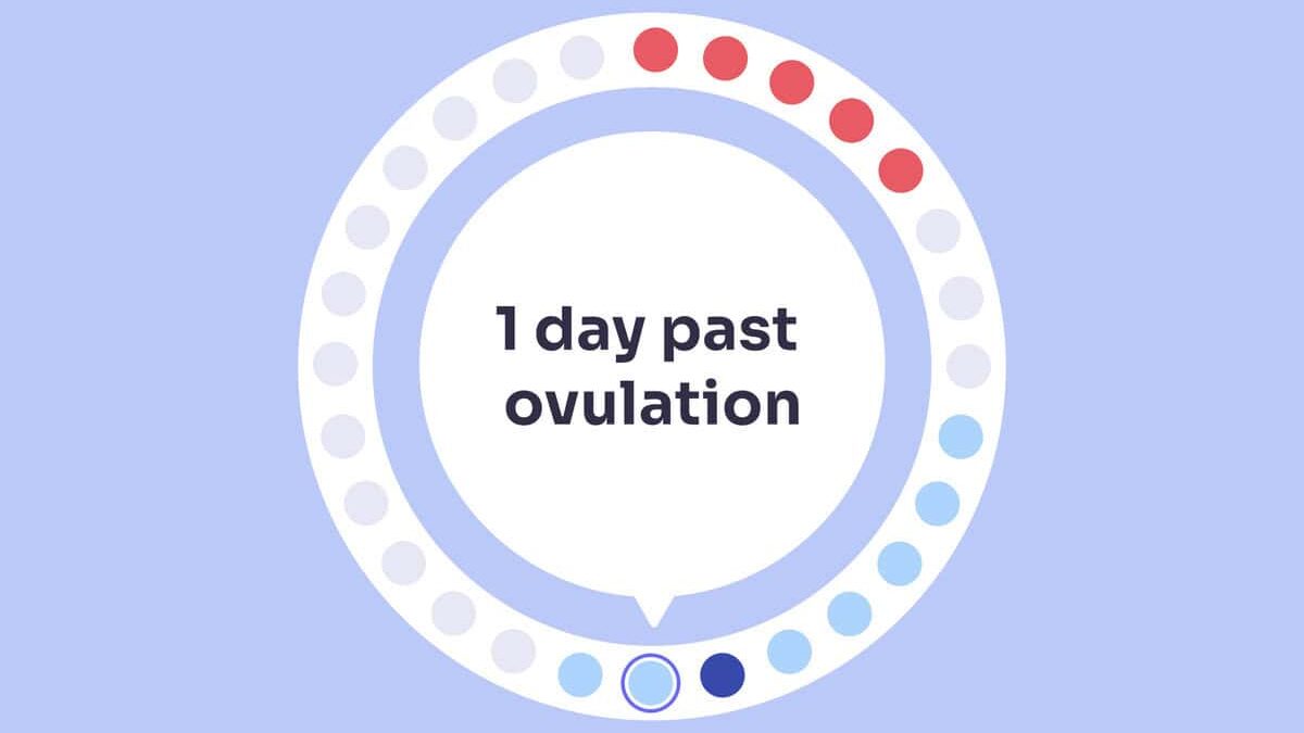 What to Expect at 1 Day Past Ovulation and Early Signs | Femia