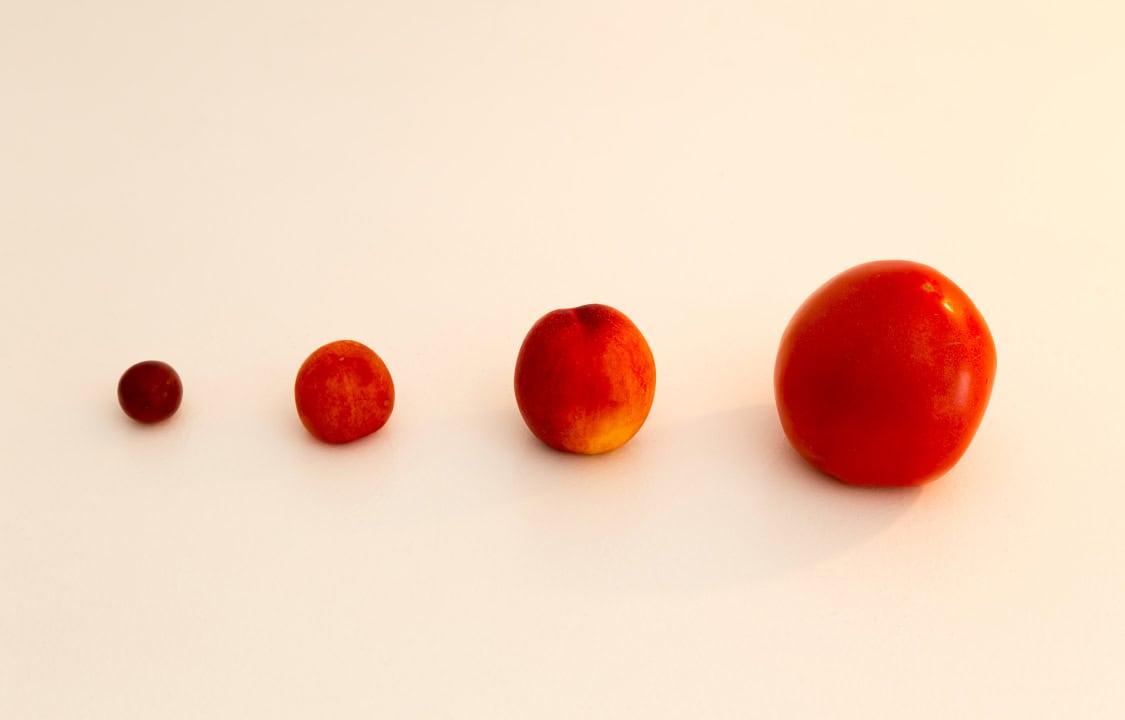 Baby fruit size by week A trimesterbytrimester guide to your growing