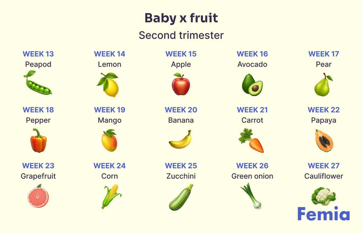 7 week pregnancy baby size fruit