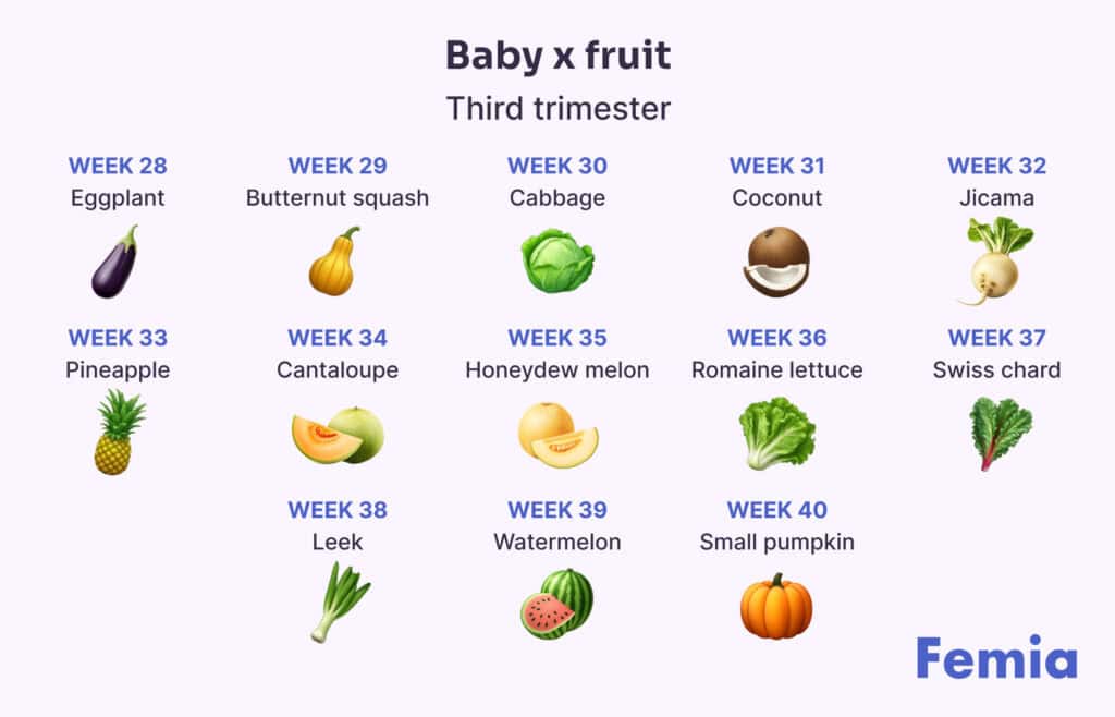 An infographic showing a baby size chart during the third trimester