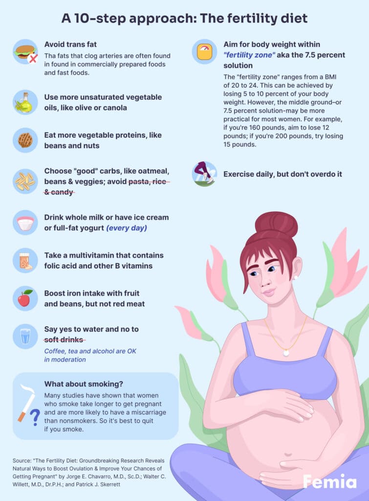 an illustration of a pregnant woman and a chart showing the fertility diet.