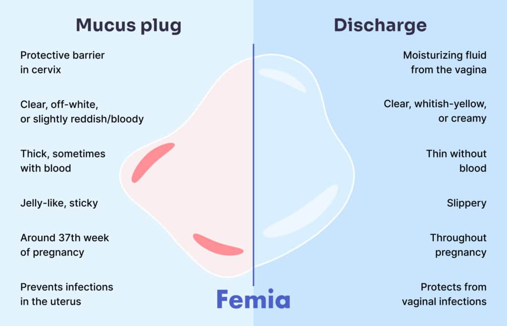 An illustration showing a difference between mucus plug and vaginal discharge.