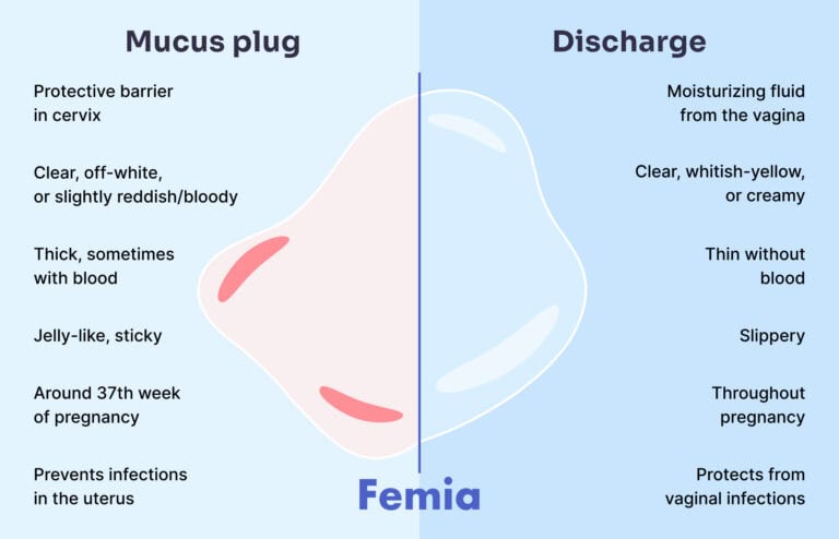 Things To Avoid After Losing Mucus Plug What To Do Expect Femia
