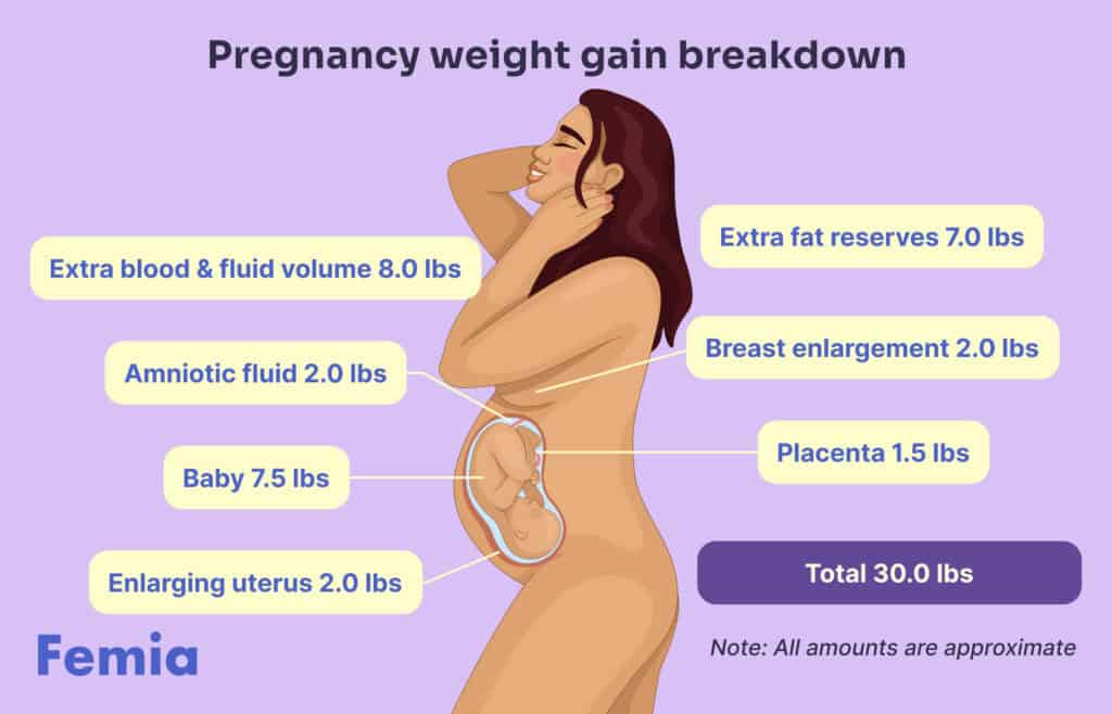 An illustration of a pregnant woman representing how much weight a woman approximately gains by the end of pregnancy.