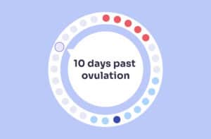 10 DPO: What to Expect at 10 Days Past Ovulation and Early Signs | Femia