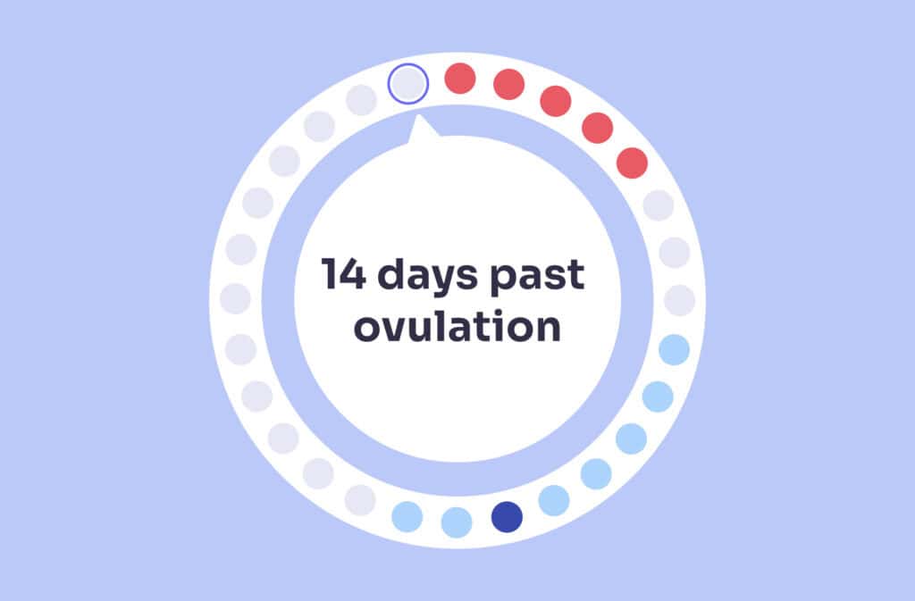 An image of a menstrual cycle wheel showing 14 days past ovulation (DPO).