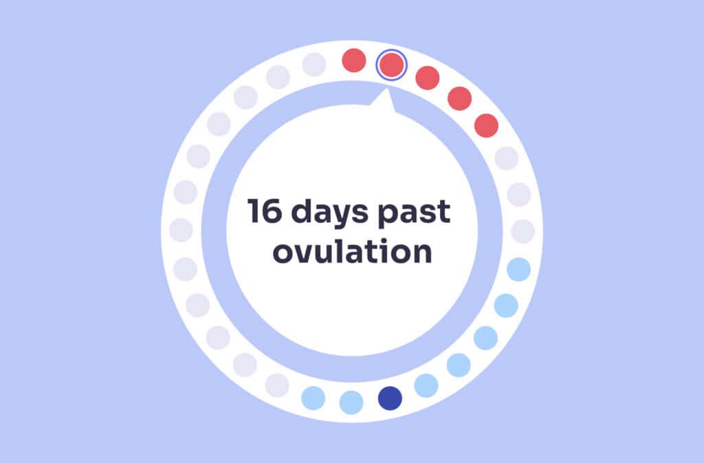 An image of a menstrual cycle wheel showing 16 days past ovulation (DPO).