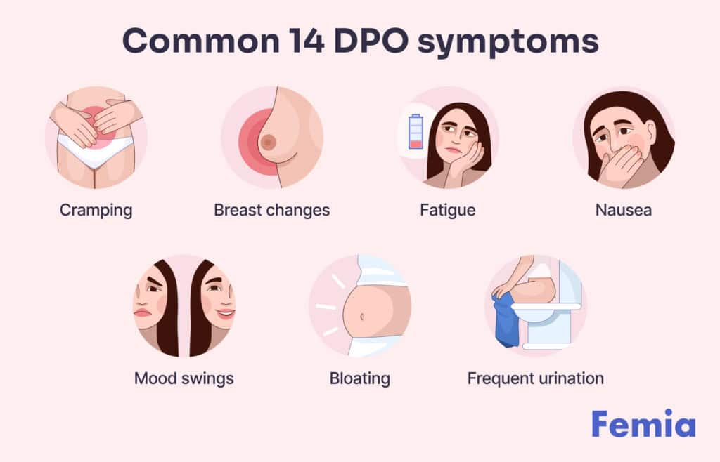 An image showing symptoms of 14 days past ovulation (DPO).