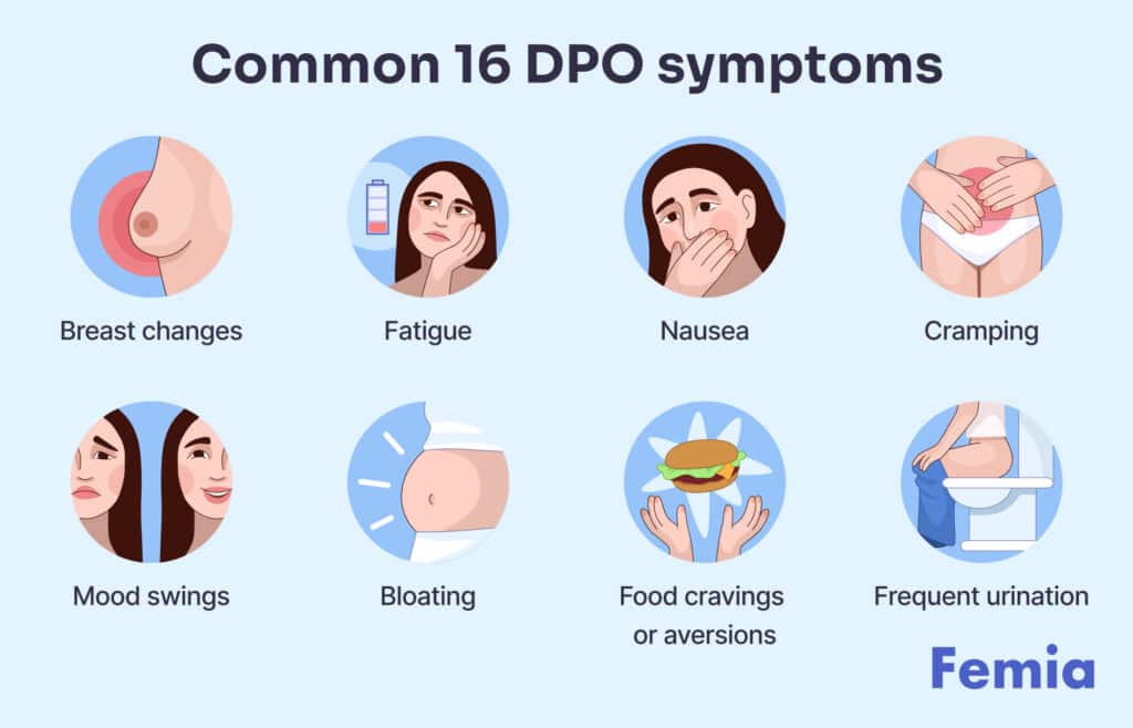 An image showing symptoms of 16 days past ovulation (DPO).