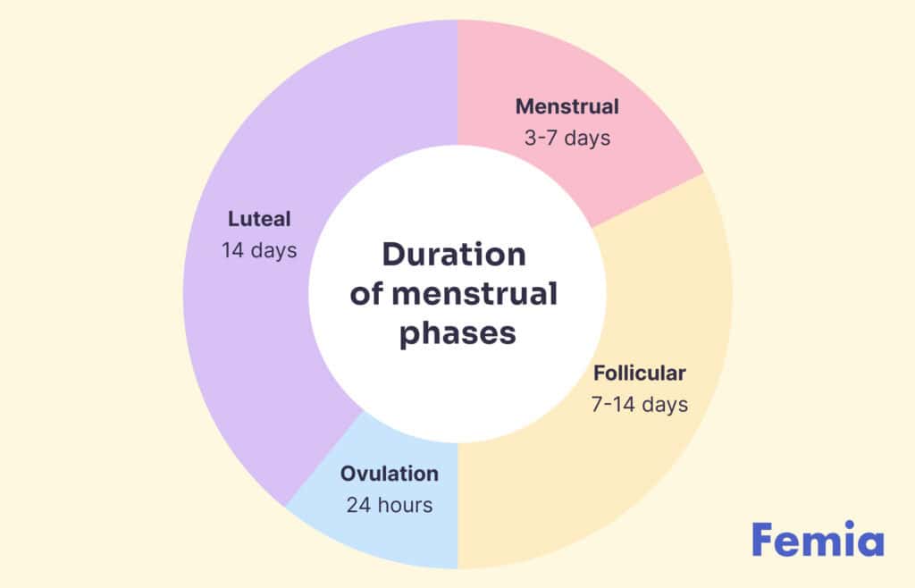 A chart showing duration of menstrual phases.