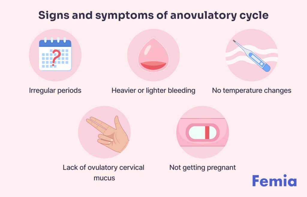 An infographics showing signs and symptoms of anovulatory cycle.