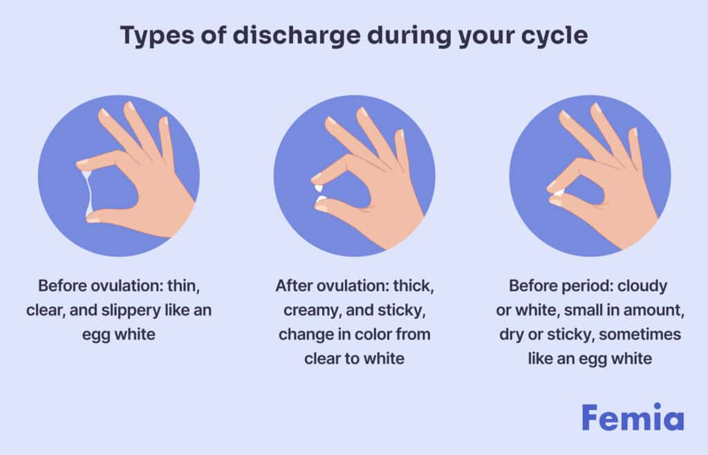 An illustration showing types of discharge during menstrual cycle.