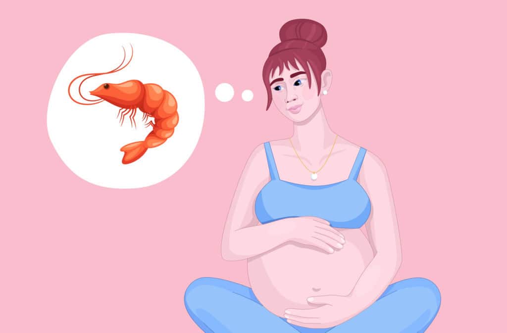 A photo of a pregnant woman and a shrimp representing a question Can pregnant women eat shrimp?