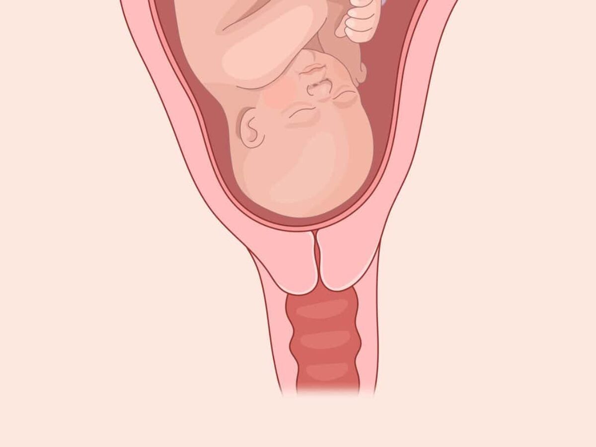 cervix How to Check Your Cervix for Pregnancy: Step-by-Step Guide - Femia