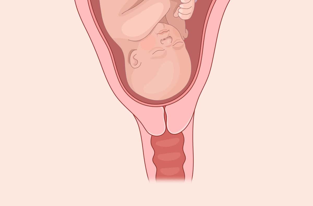 How to Check Your Cervix for Pregnancy: Step-by-Step Guide - Femia, image size:1200x789