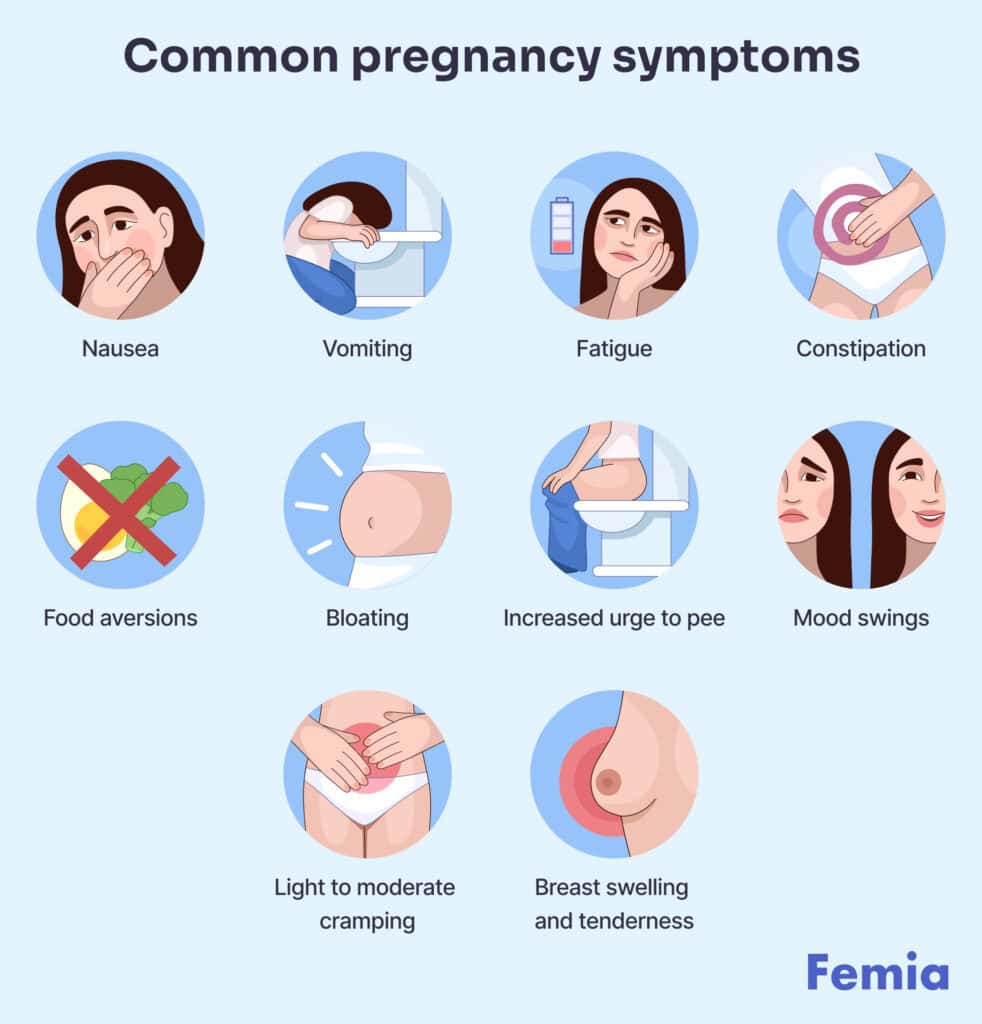 An infographic showing common pregnancy symptom.