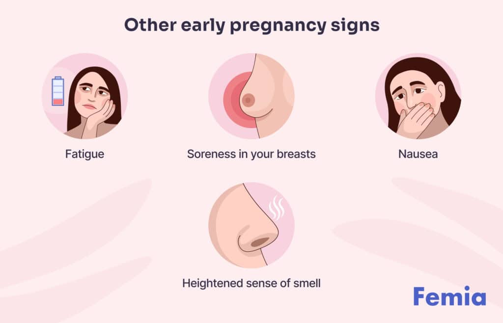 An infographic showing other early pregnancy signs.