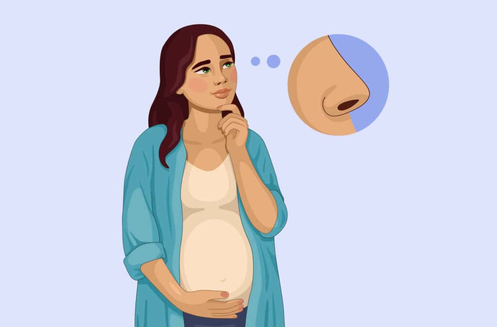 An illustration of a pregnant woman thinking about a pregnancy nose.