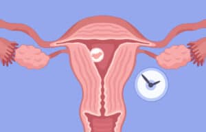 How Long Does It Take To Get Pregnant After Sex: Complete Overview - Femia