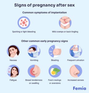 How Long Does It Take To Get Pregnant After Sex: Complete Overview - Femia