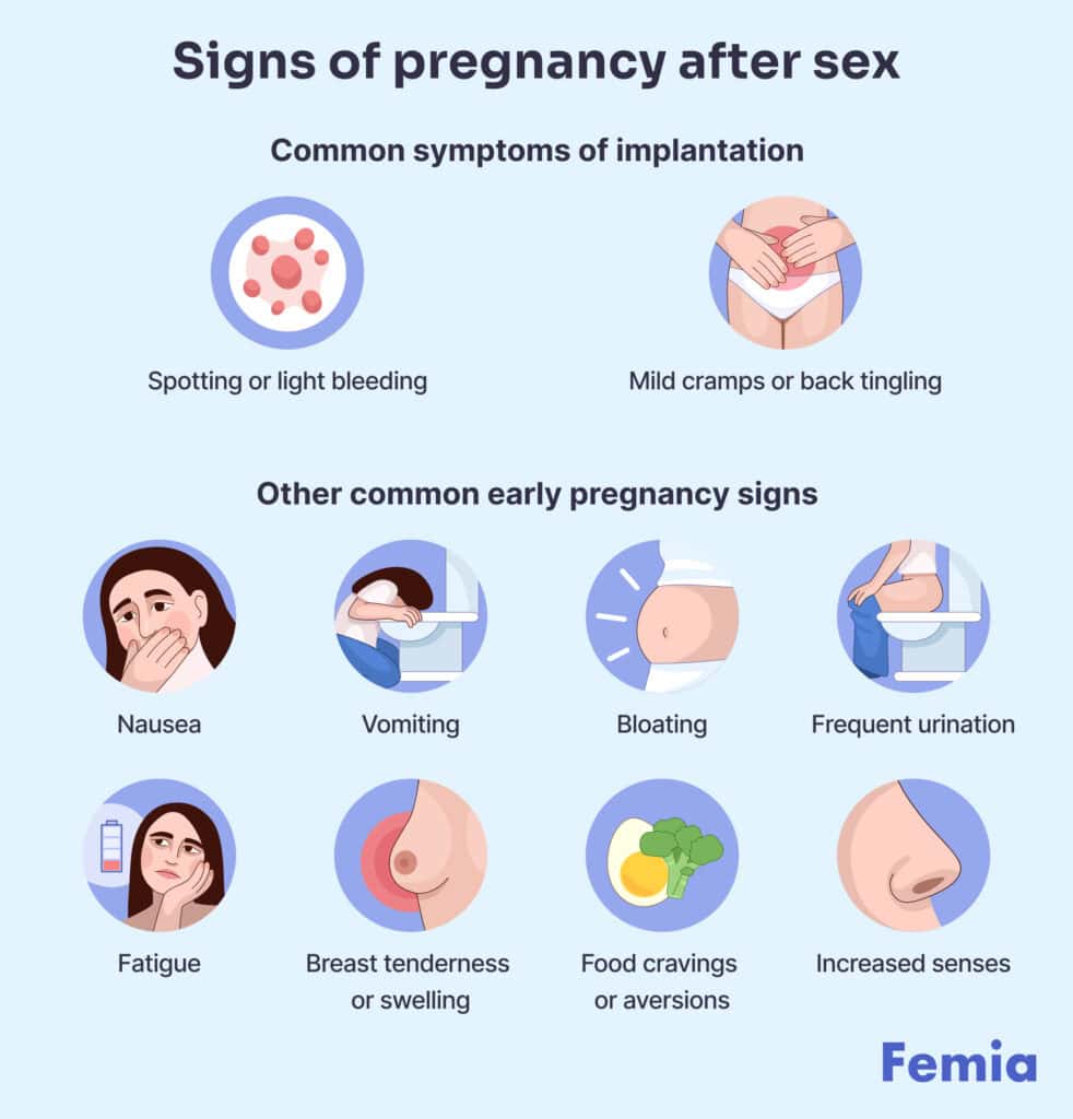 An infographics showing signs of pregnancy after sex