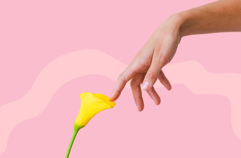 a photo of a female’s hand touching a flower, representing a clitoral stimulation.