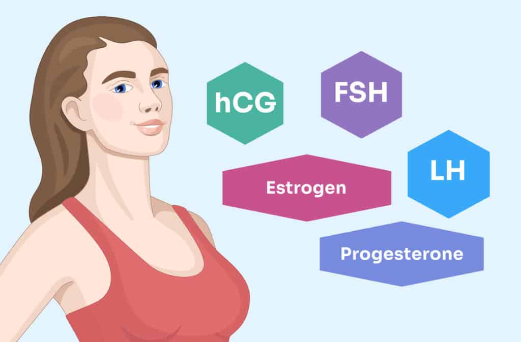 An illustration of a woman and fertility hormones.