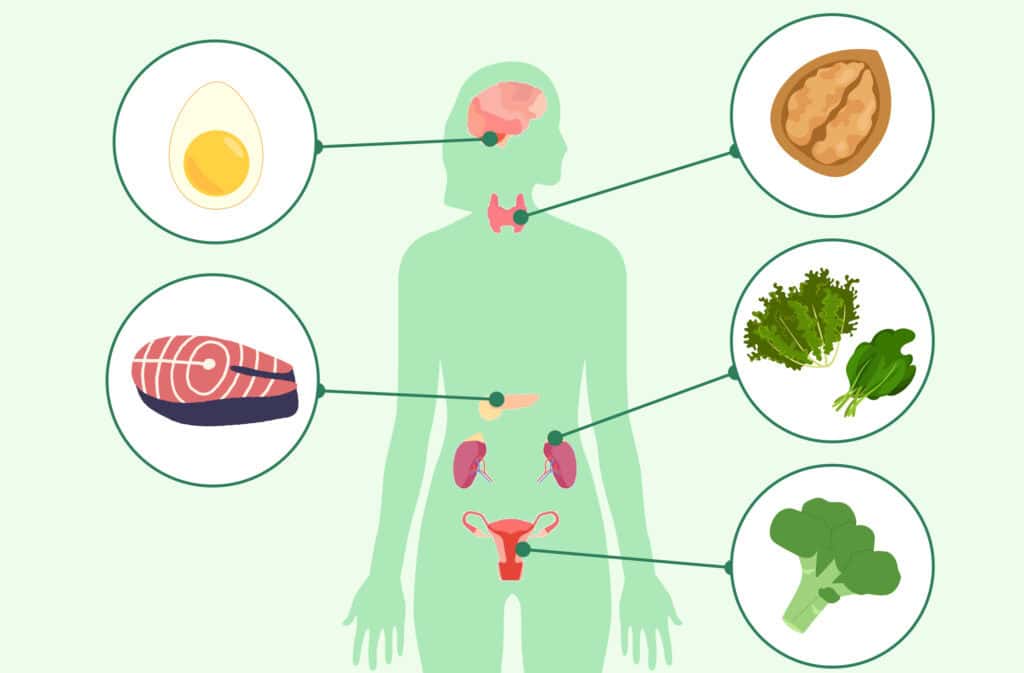 An infographic showing how to balance your hormones in a week with diet.