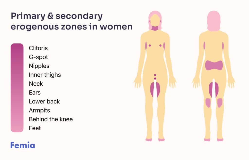 An infographic showing primary and secondary erogenous zones in women.