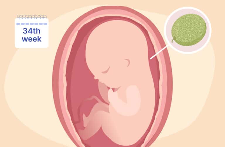 First trimester pregnancy diet 1 to 3month pregnancy diet chart and