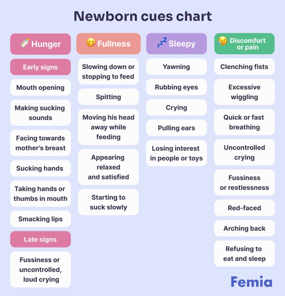 An infographic showing the baby cues chart and how to recognize and understand them.