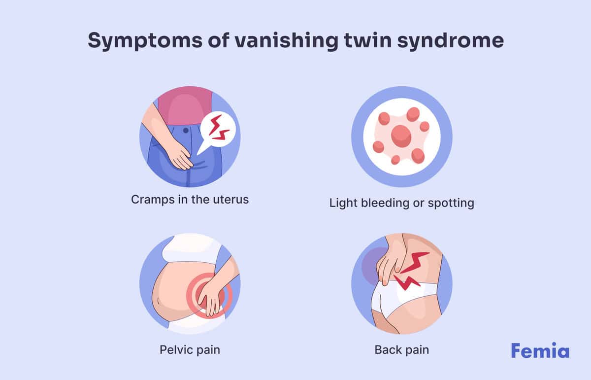 All Why's And How's Of Vanishing Twin Syndrome - Femia